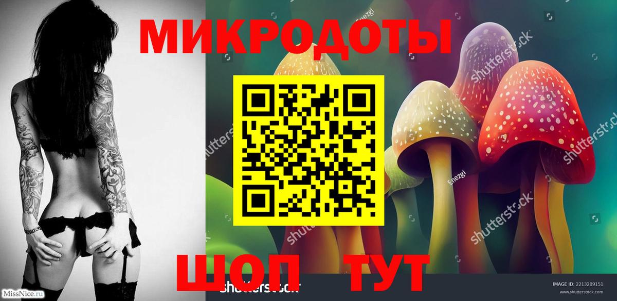 Рассказово  Галлюциногенные грибы Magic Shrooms  где купить наркоту  Вход с VPN 